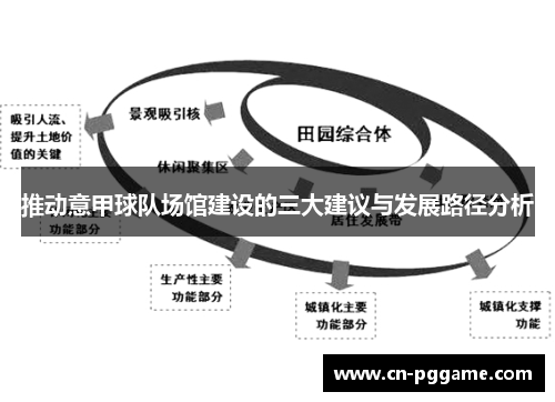 推动意甲球队场馆建设的三大建议与发展路径分析