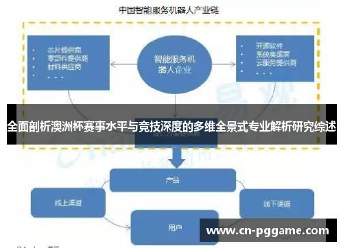 全面剖析澳洲杯赛事水平与竞技深度的多维全景式专业解析研究综述